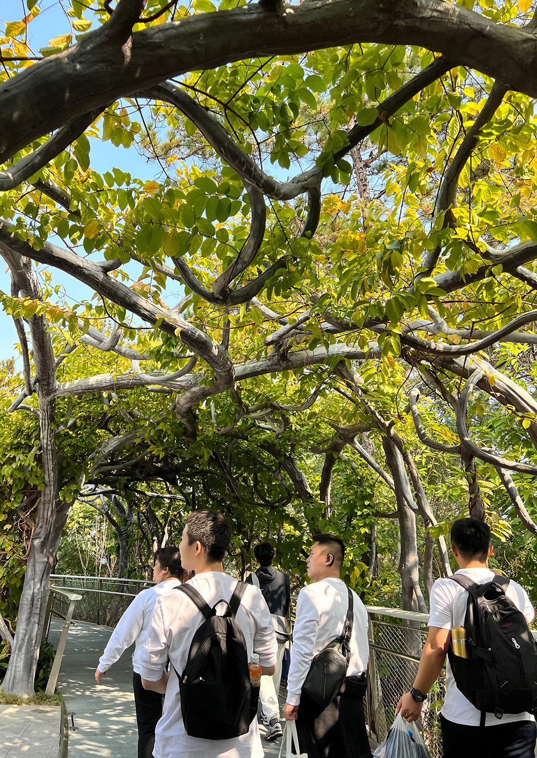 1640662926419275.jpg 3.jpg